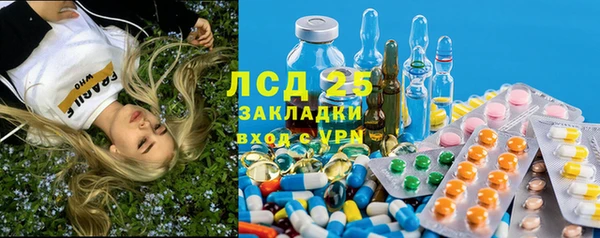 соль ск Алексин