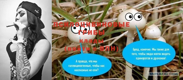 соль ск Алексин