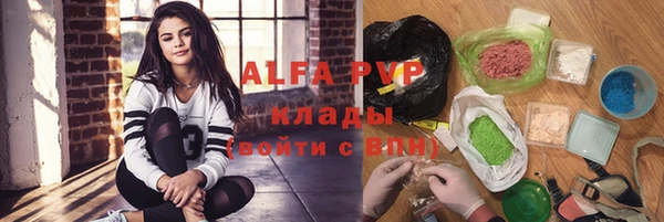 хмурый Абаза