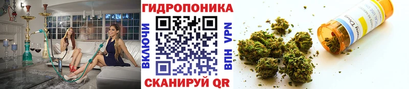 Шишки марихуана SATIVA & INDICA  Ясный 